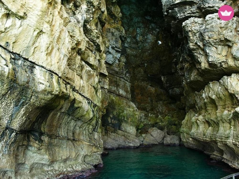 Tesouros do Golfo: Aventura de meio dia em cavernas e atum