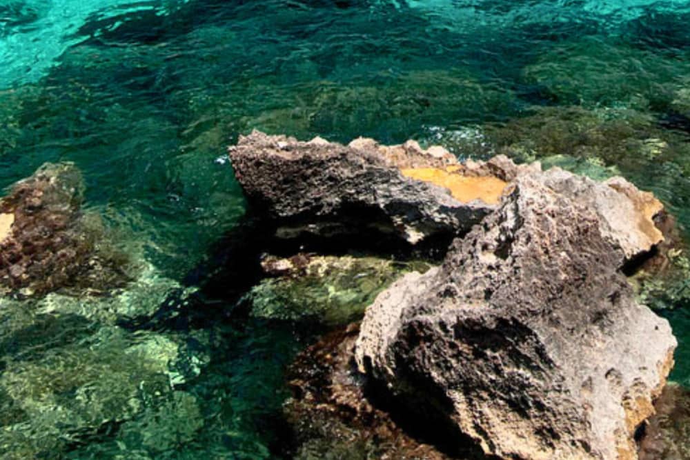 Egadi Islands Tour: Excursion to Favignana and Levanzo by Boat with Lunch Included from Trapani