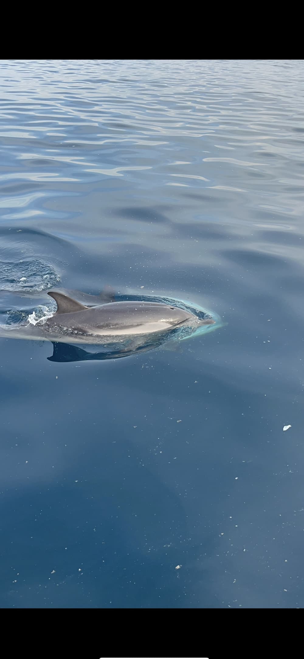 Delfine und ein typisch sizilianischer Aperitif in Taormina