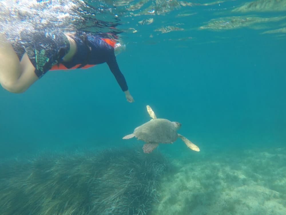 Kort & Konstig Zakynthos-kryssning – Grottor, Bad & Romantik