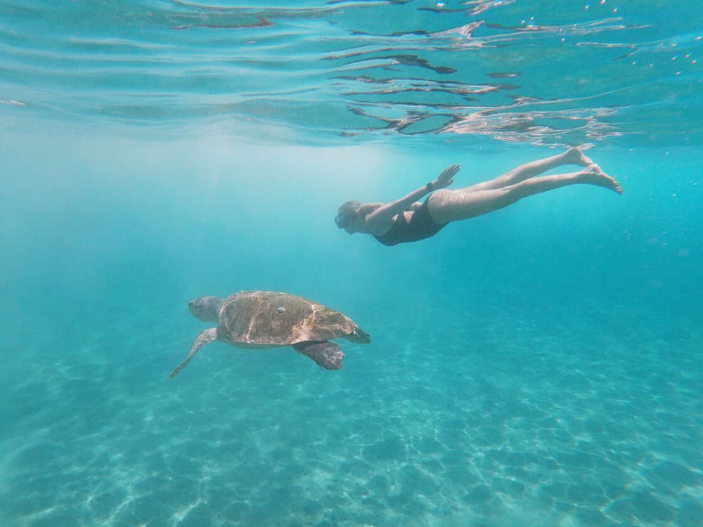 Kort & Konstig Zakynthos-kryssning – Grottor, Bad & Romantik