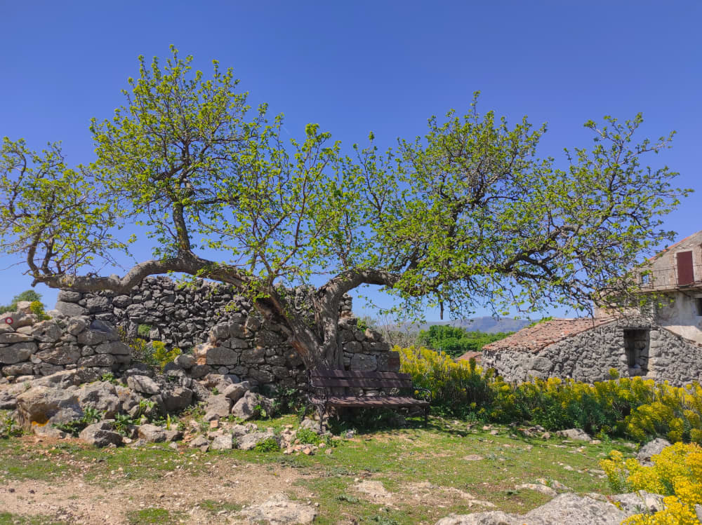 Trilhas e Marés: Caminhada e Passeio de Barco na Ilha Cres