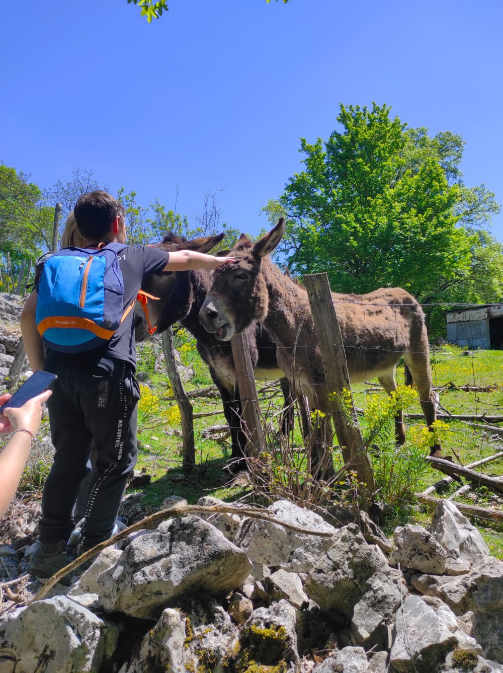 Trilhas e Marés: Caminhada e Passeio de Barco na Ilha Cres