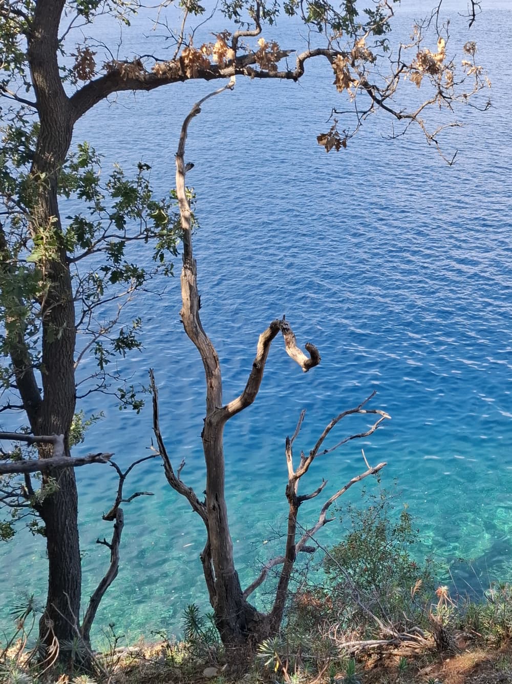 Trilhas e Marés: Caminhada e Passeio de Barco na Ilha Cres