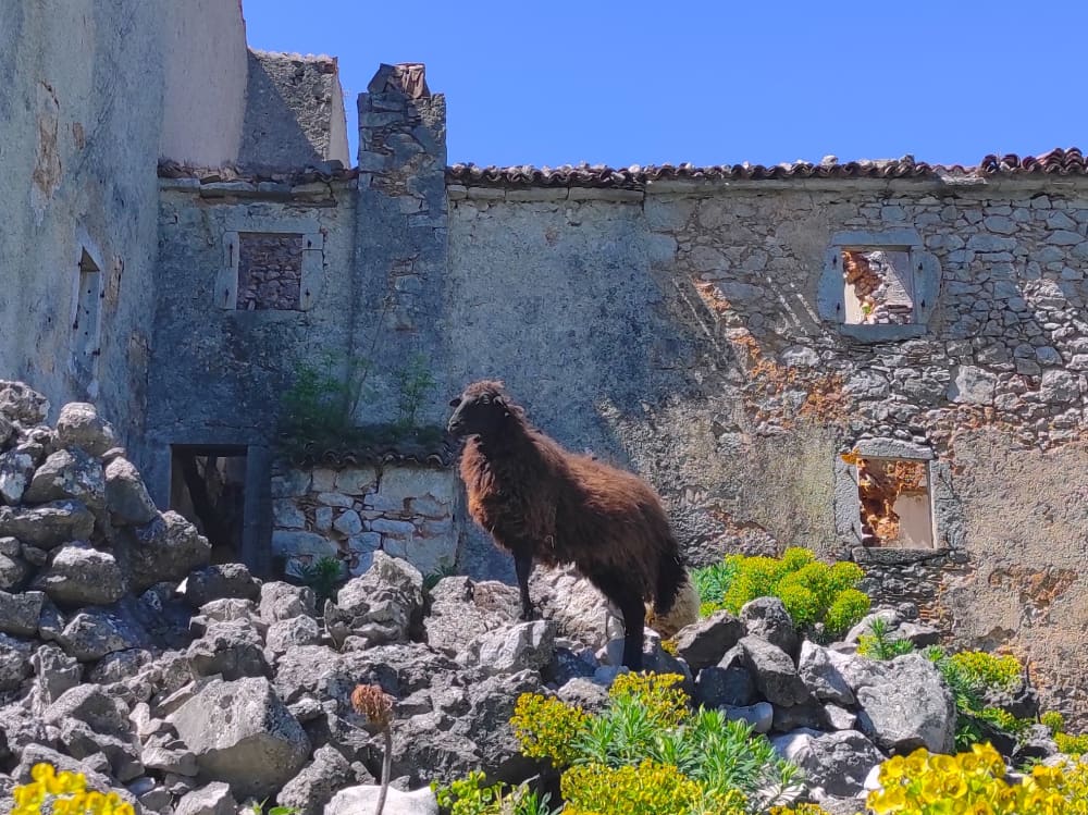 Trilhas e Marés: Caminhada e Passeio de Barco na Ilha Cres
