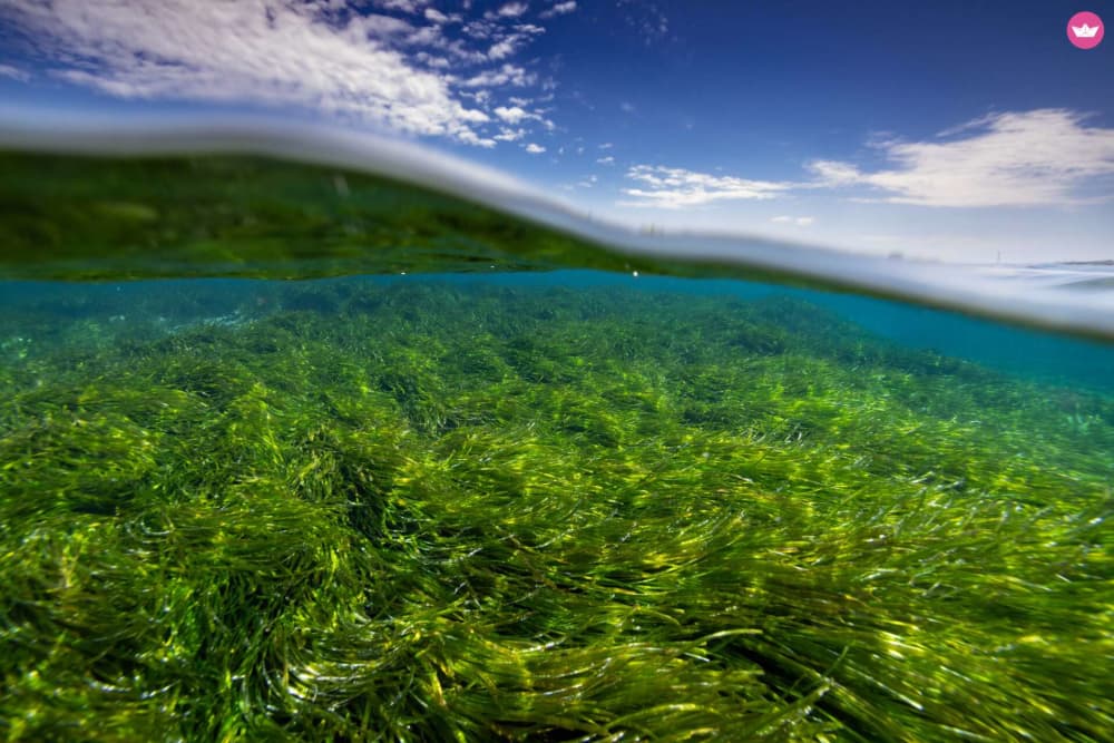 Ontdek Formentera in 4 uur zeilen, stranden en zwemmen