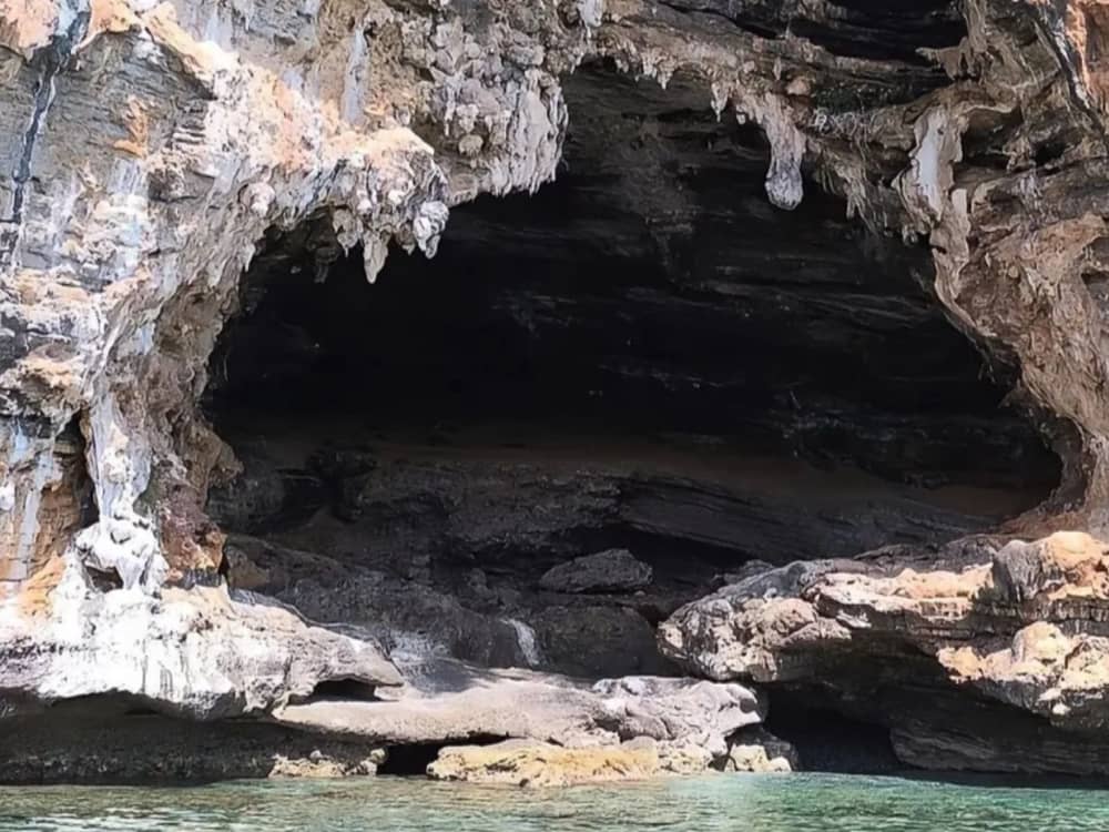 Scario & Infreschi Bay Half-Day Tour