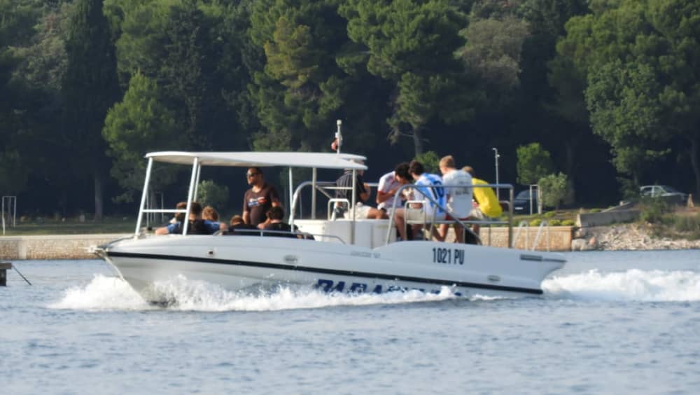 Private 3-stündige Sonnenuntergangs- und Delfinbeobachtungstour – Magischer Abend auf See