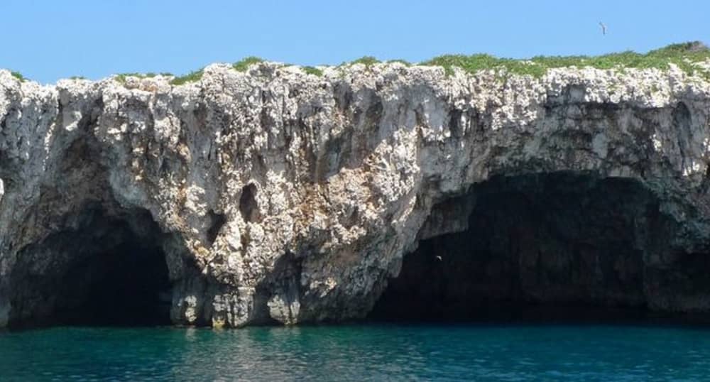 Ιδιωτική εκδρομή με ταχύπλοο στα Κόκκινα Βράχια, στο Νότιο Χβαρ και στα νησιά Πακλένι.