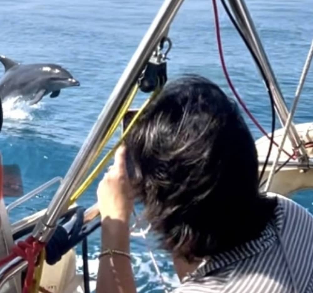 Sailing and Relax: Discover Giglio, Elba, Cala di Forno and Formiche.