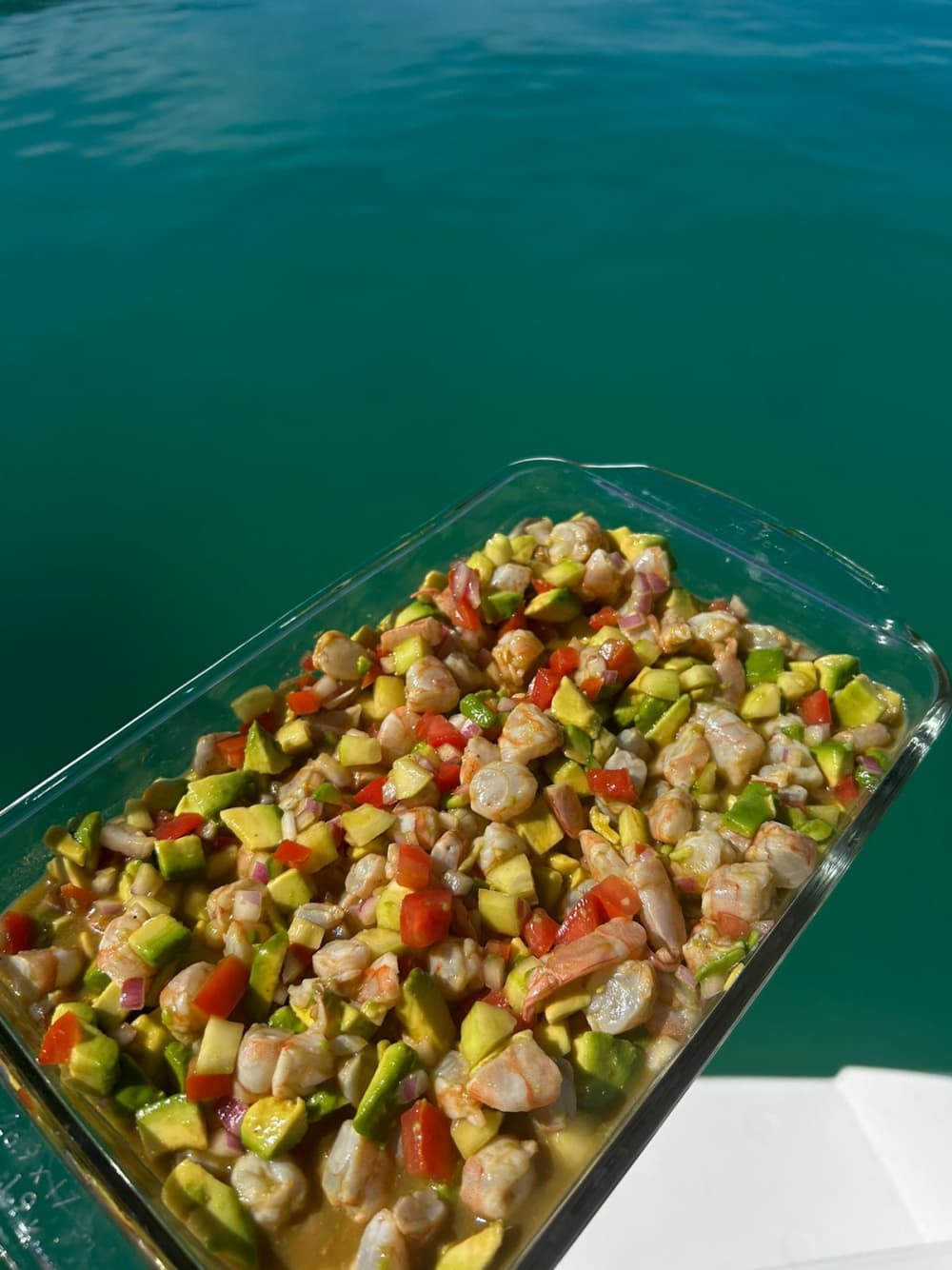 The best of La Paz is on the water: Your private full day on a catamaran