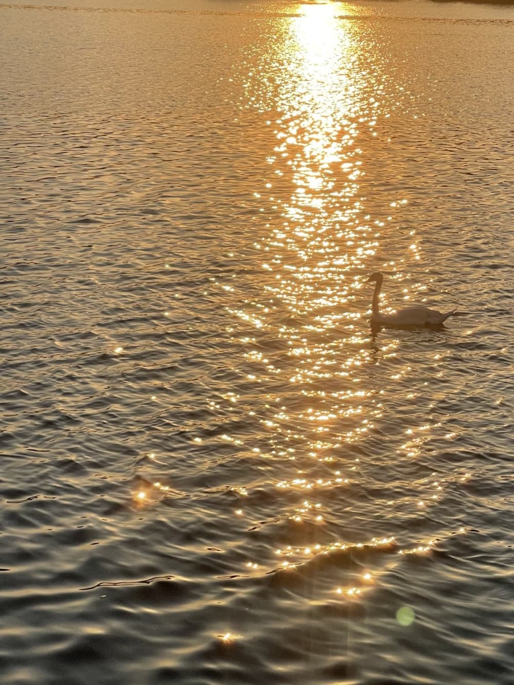 Le pur plaisir de la voile : Vivez la magie du Havre