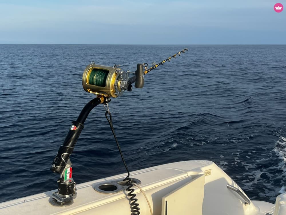 Tour Costero en Boston Whaler, Pesca y Placer a Bordo desde Sitges