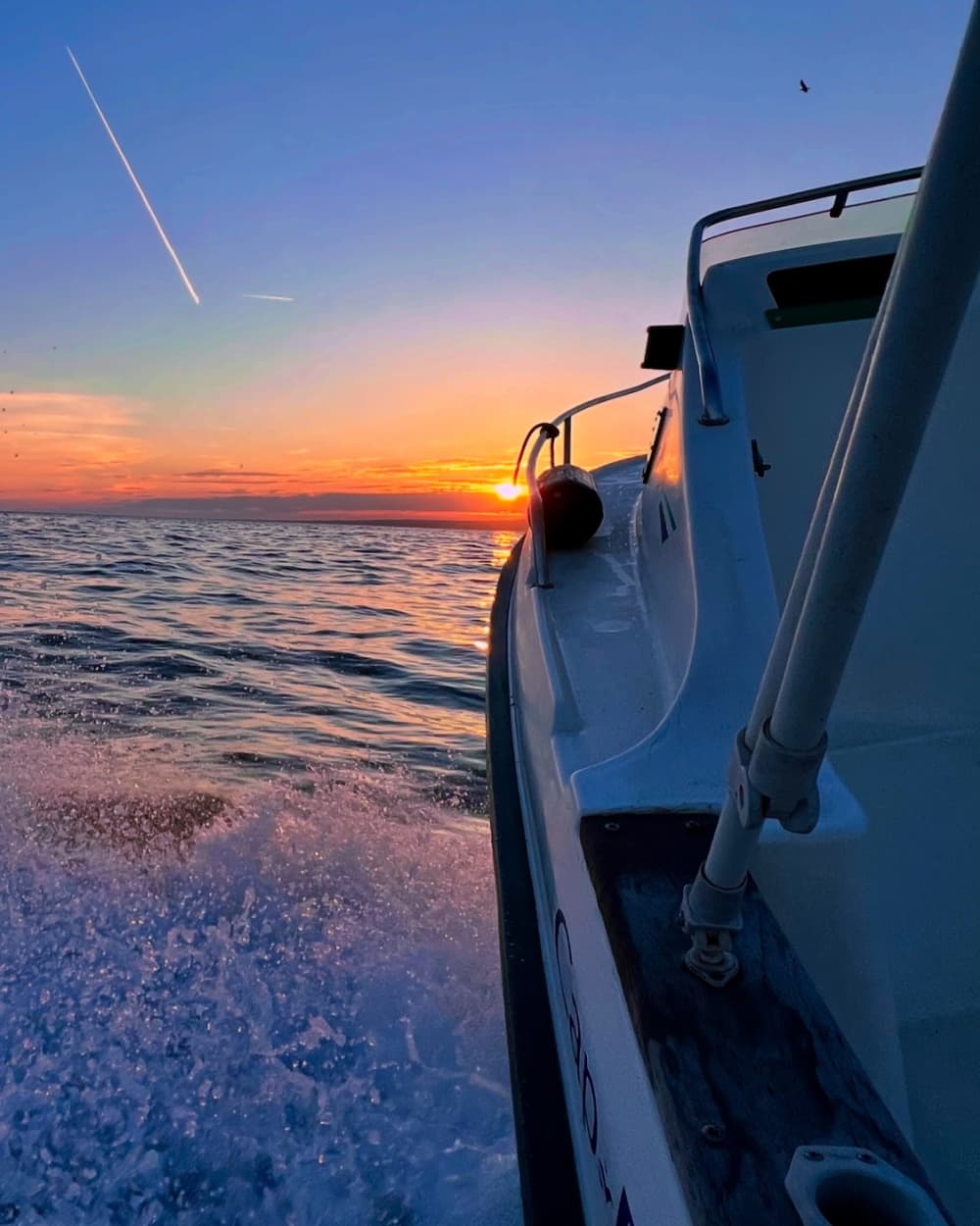 Solnedgång till sjöss – Privat kryssning i Calanques i Marseille med Myli-båten