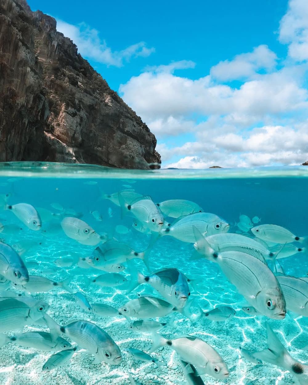 Grand Tour from Olbia to the Tavolara & Molara Archipelago, snorkeling, and a Sardinian aperitif