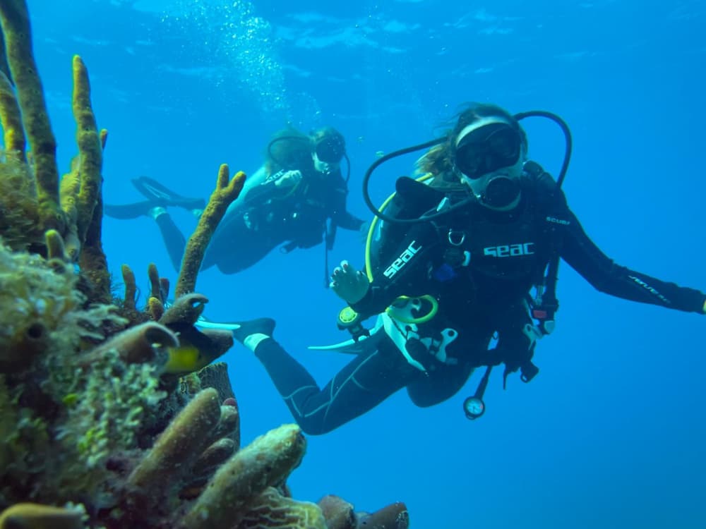 Tauchen mit Stil: Privater Tauchausflug in Montego Bay