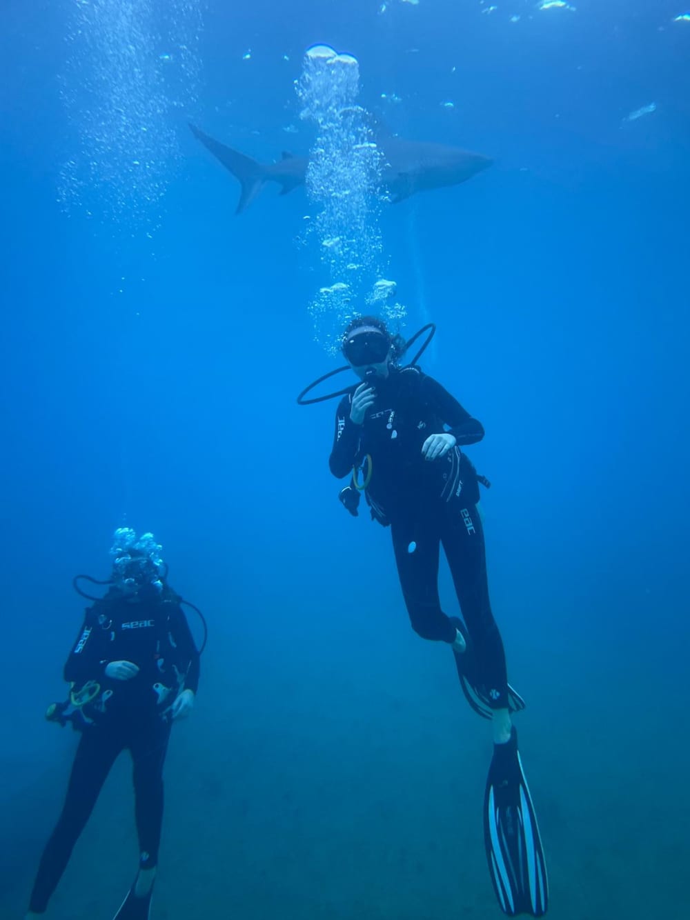 Buceo con estilo: excursión privada de buceo en Montego Bay
