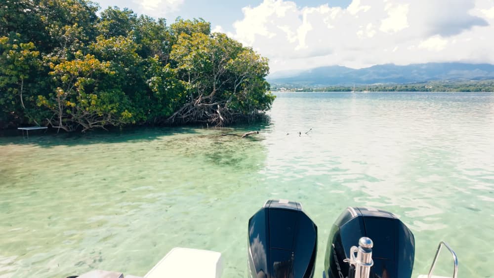 An exceptional day discovering Basse-Terre