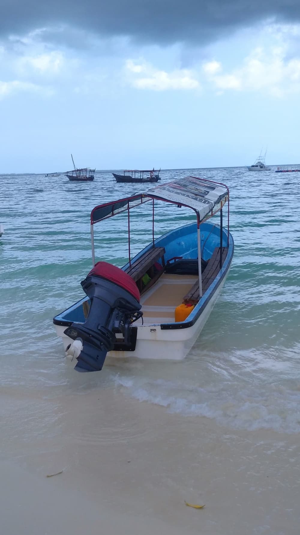Velas y atardeceres: un viaje oceánico en la hora dorada