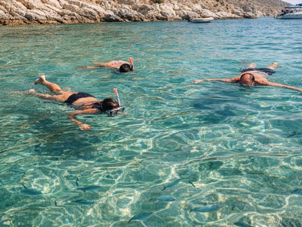 Mallorca: Alcudia: Private Boat Tour with Snorkel (2.5h)