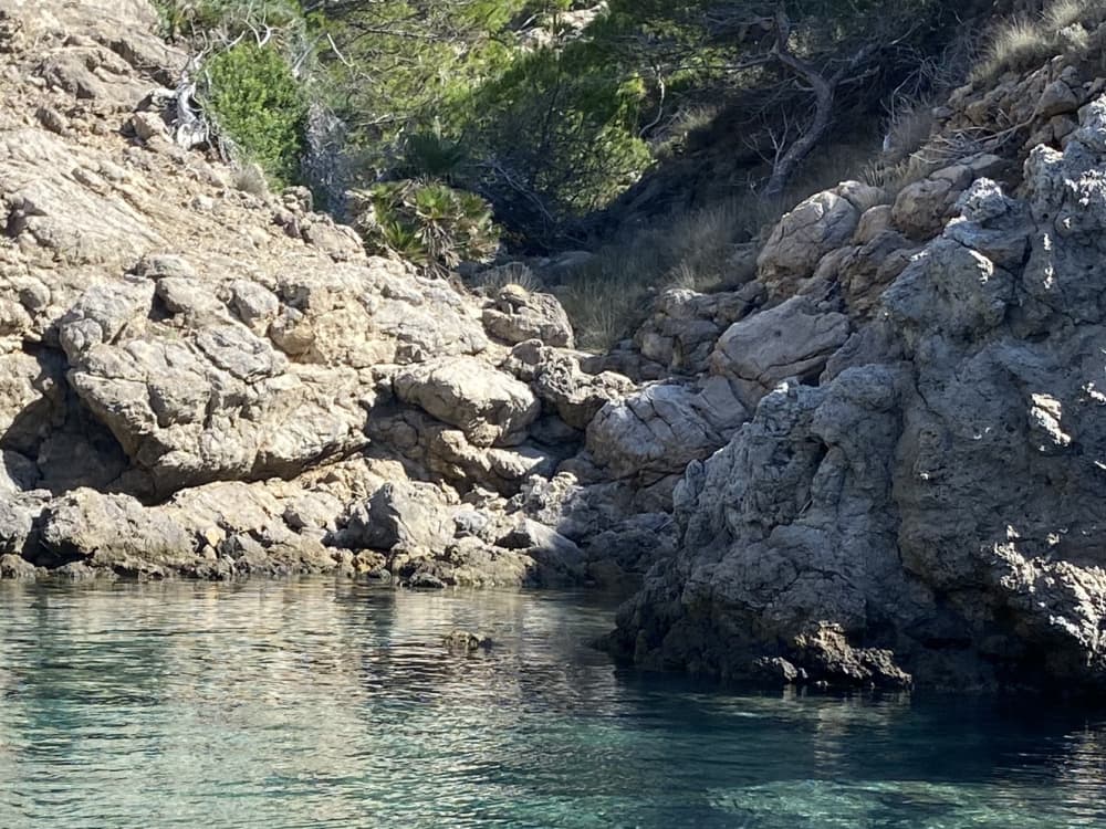 Mallorca: Alcudia: Private Boat Tour with Snorkel (2.5h)