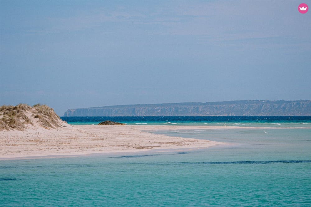 Ibiza at your own pace: 8-hour private boat tour