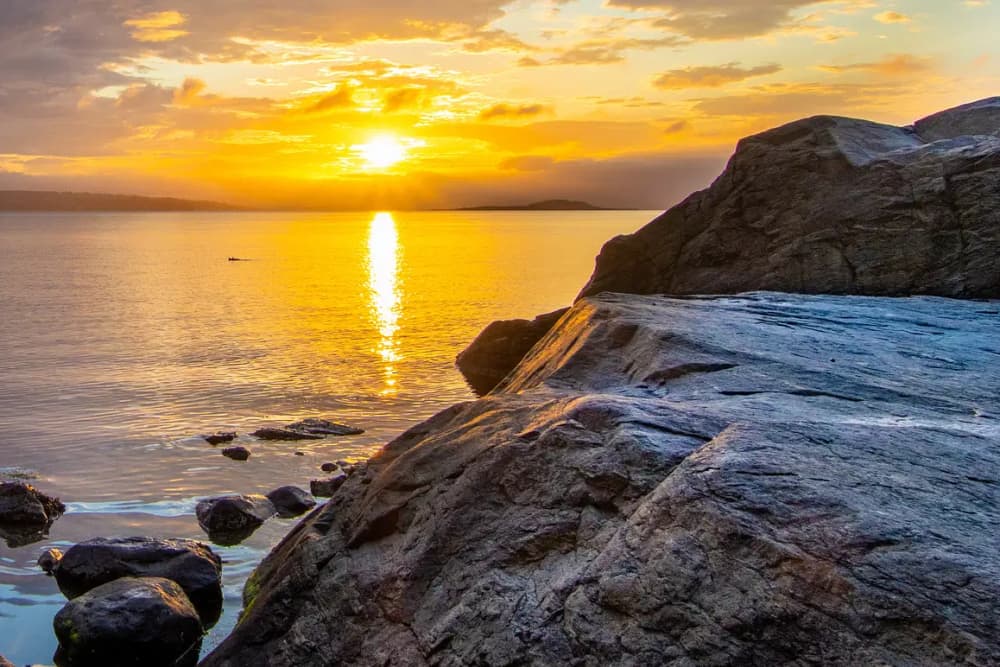 Oslo Fjord Escape: 6h Day Trip with Island Landing