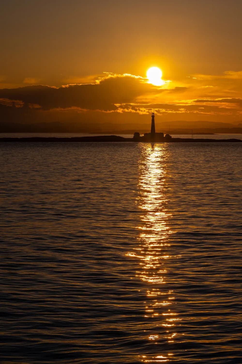 Escapada al fiordo de Oslo: excursión de 6 horas con desembarco en la isla