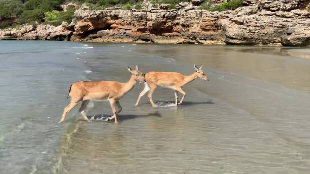 Cala di Forno Experience – Caves and Crystal-Clear Sea
