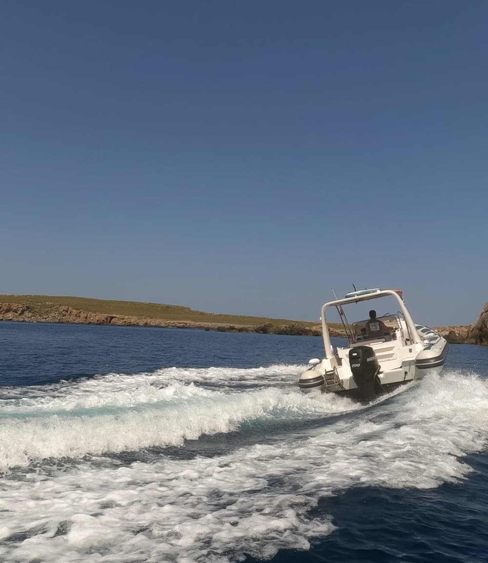 Escursione di 7 ore da Cala Santandria.