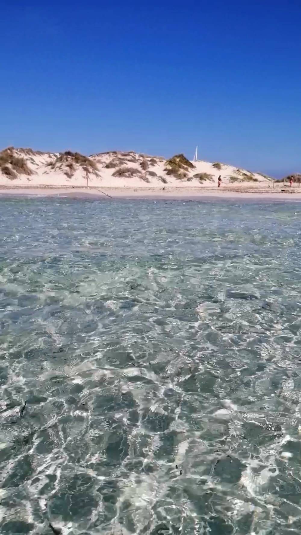 Passeio de 5 horas saindo de Santa Eulária, navegando pela costa até Tagomago