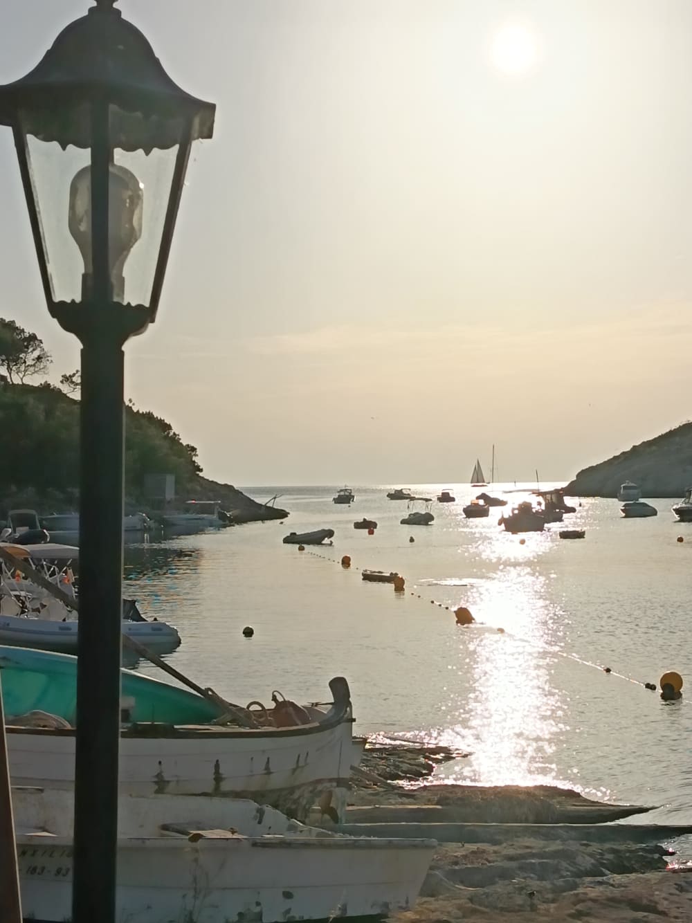 Passeio de 5 horas saindo de Santa Eulária, navegando pela costa até Tagomago