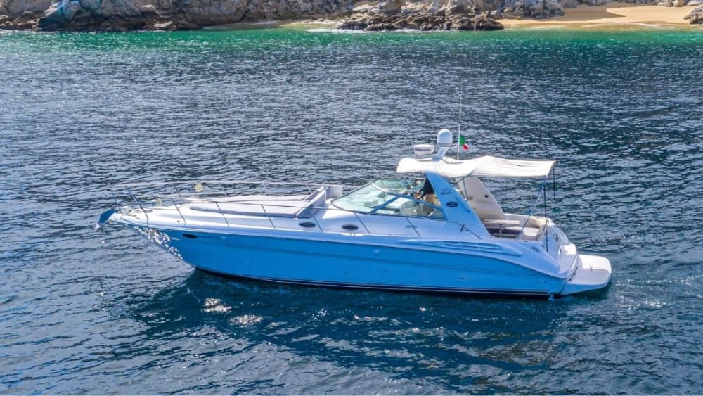 Bucht von La Paz – 3-stündige private Kreuzfahrt und Schnorcheln mit Seelöwen