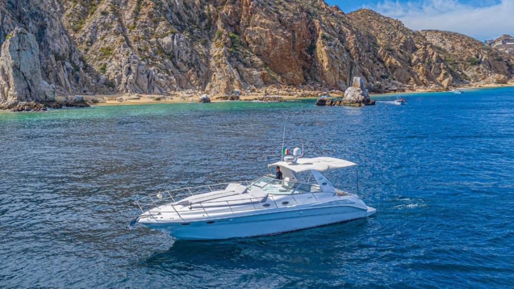 Bucht von La Paz – 3-stündige private Kreuzfahrt und Schnorcheln mit Seelöwen