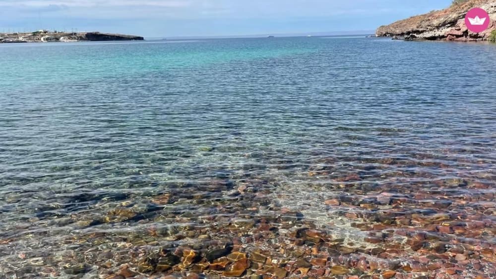 Bucht von La Paz – 3-stündige private Kreuzfahrt und Schnorcheln mit Seelöwen