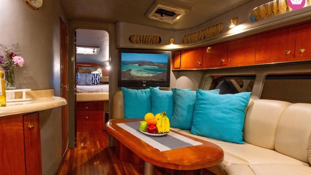 Bucht von La Paz – 3-stündige private Kreuzfahrt und Schnorcheln mit Seelöwen