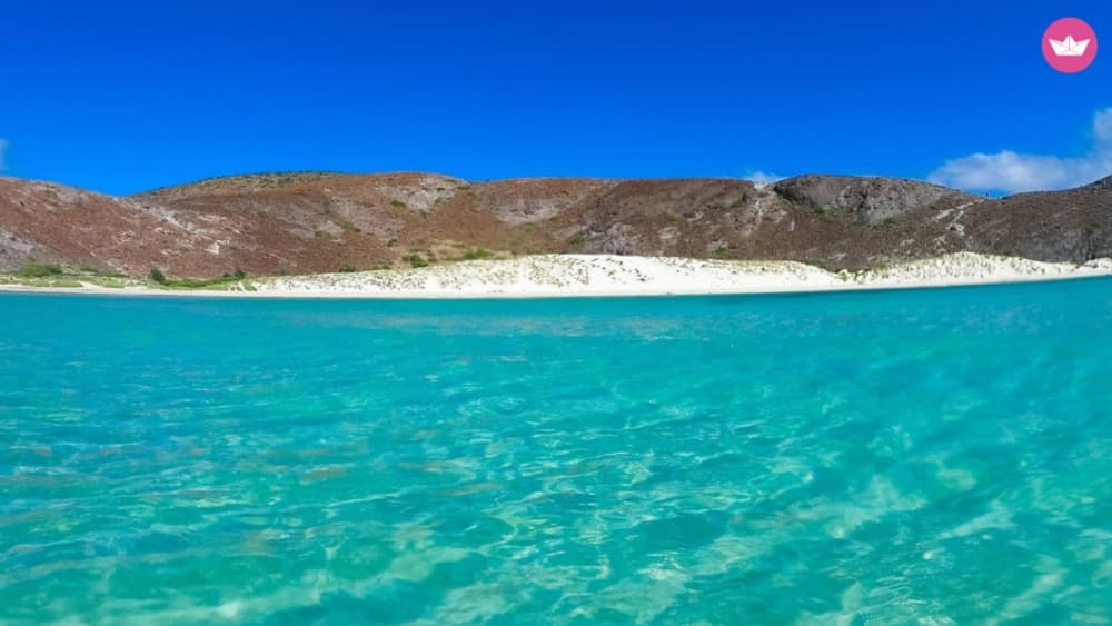 Bucht von La Paz – 3-stündige private Kreuzfahrt und Schnorcheln mit Seelöwen