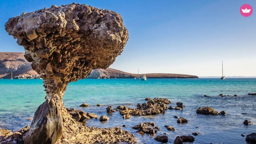 Bucht von La Paz – 3-stündige private Kreuzfahrt und Schnorcheln mit Seelöwen