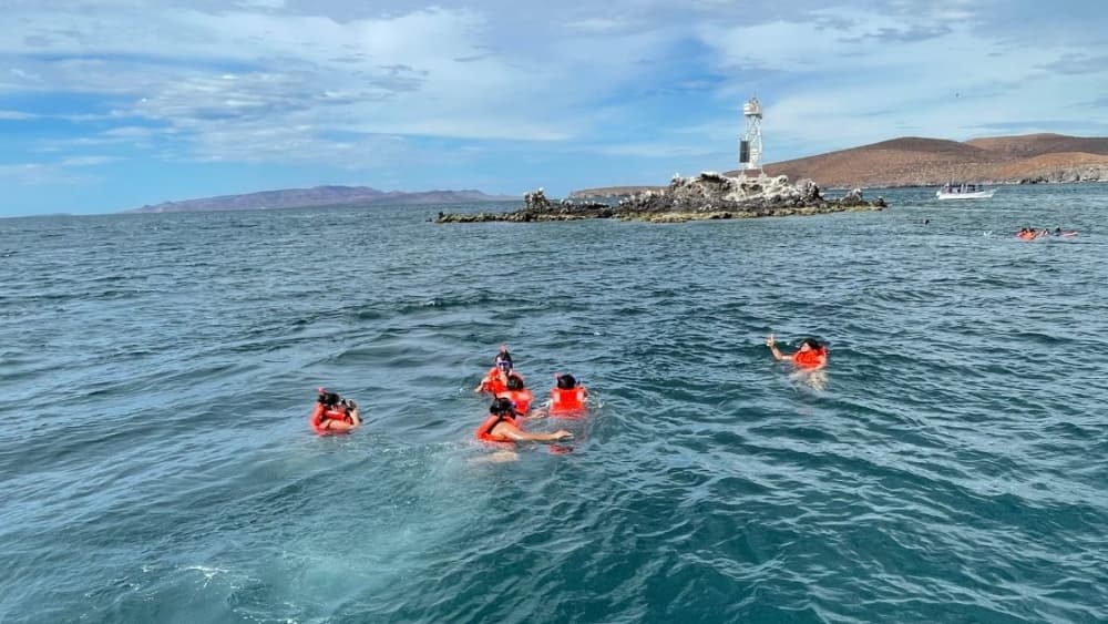 Bucht von La Paz – 3-stündige private Kreuzfahrt und Schnorcheln mit Seelöwen