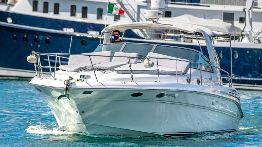 Bucht von La Paz – 3-stündige private Kreuzfahrt und Schnorcheln mit Seelöwen