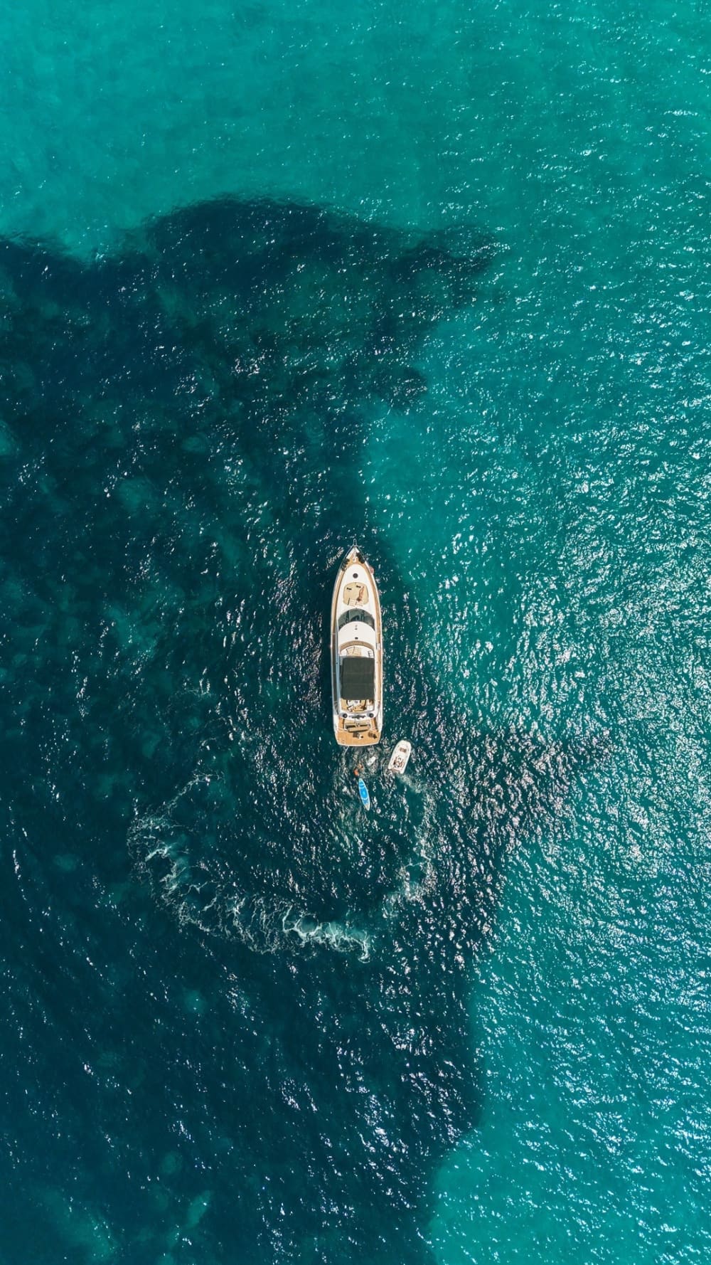Genießen Sie den Luxus Ibizas mit einem ganztägigen Ausflug auf einer Motoryacht.
