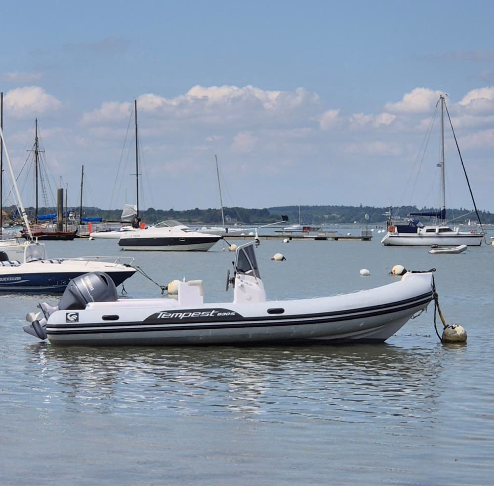 Golfo de Morbihan: 2 horas de exploración única desde Port Navalo