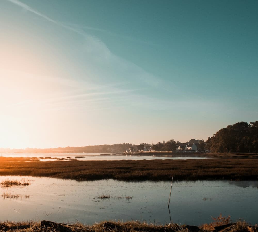 Golfo de Morbihan: 2 horas de exploración única desde Port Navalo