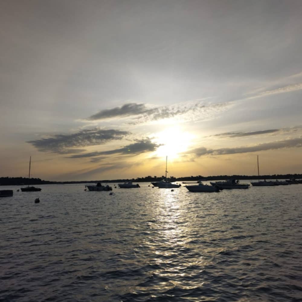 Golfo de Morbihan: 2 horas de exploración única desde Port Navalo
