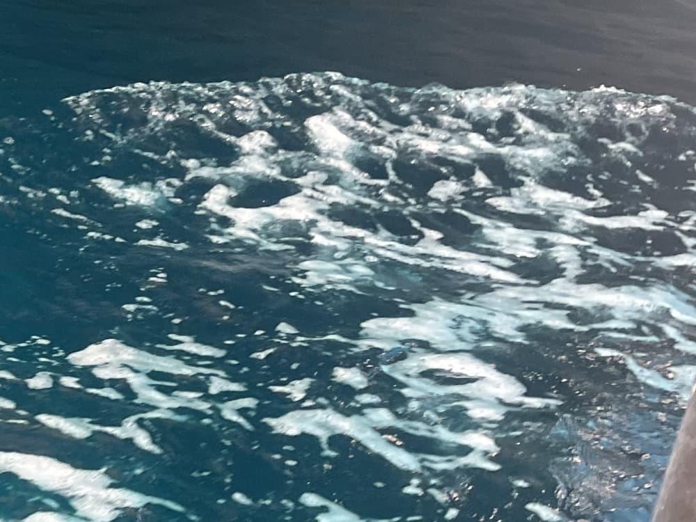 Een boottocht rond de baai van Kotor met zwemmen in de open zee.