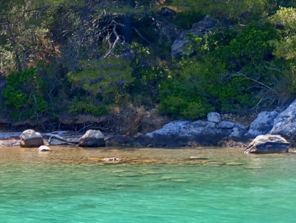Full-Day Boat Tour: Sibenik Archipelago Island Bay "Swim, Snorkel, SUP" with Local Tavern Lunch or Dinner