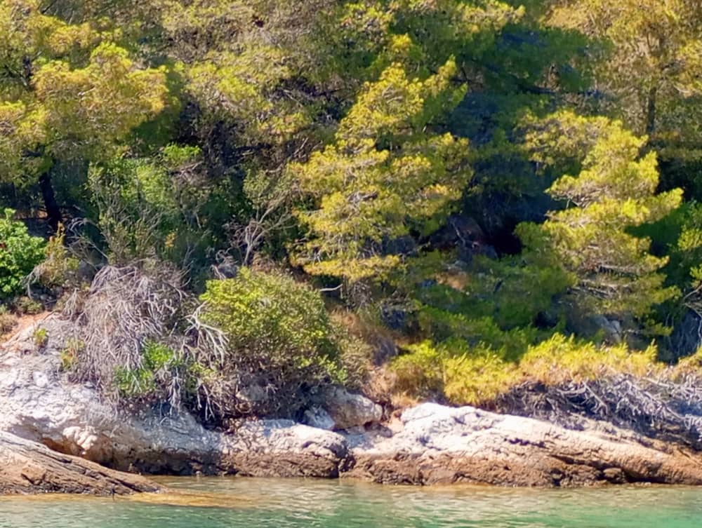 Full-Day Boat Tour: Sibenik Archipelago Island Bay "Swim, Snorkel, SUP" with Local Tavern Lunch or Dinner