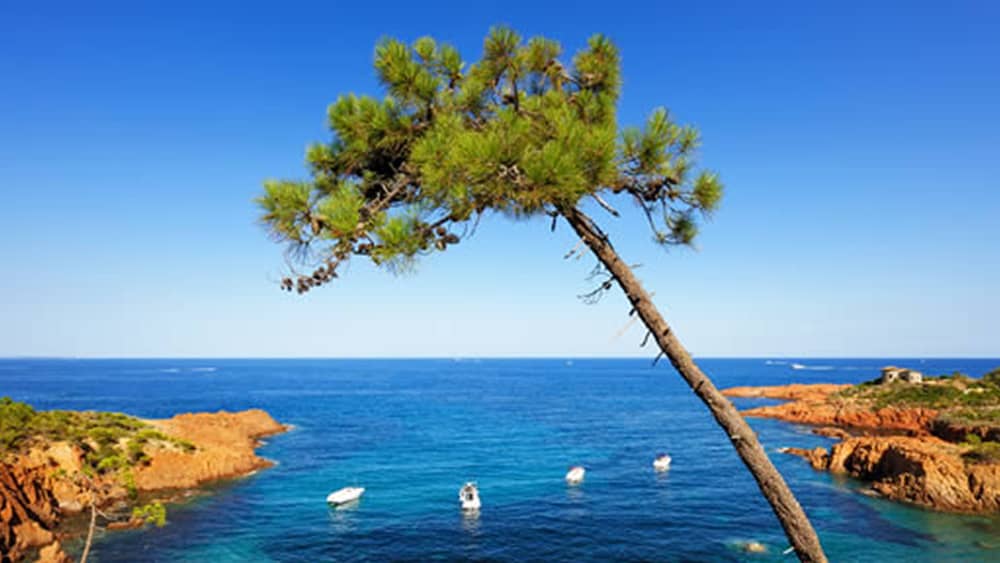 Descobrindo os tesouros escondidos de Cannes e do Esterel