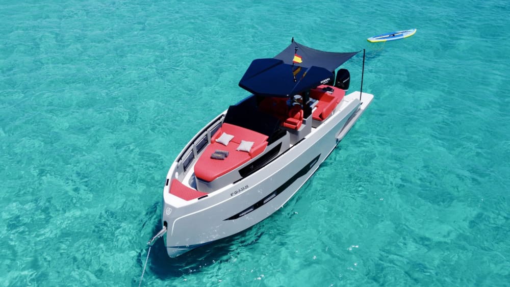 A day in Ibiza on a motorboat with the family, up to 12 people, all inclusive: captain and fuel