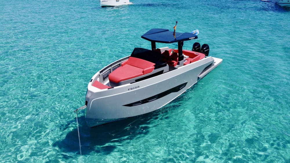 A day in Ibiza on a motorboat with the family, up to 12 people, all inclusive: captain and fuel